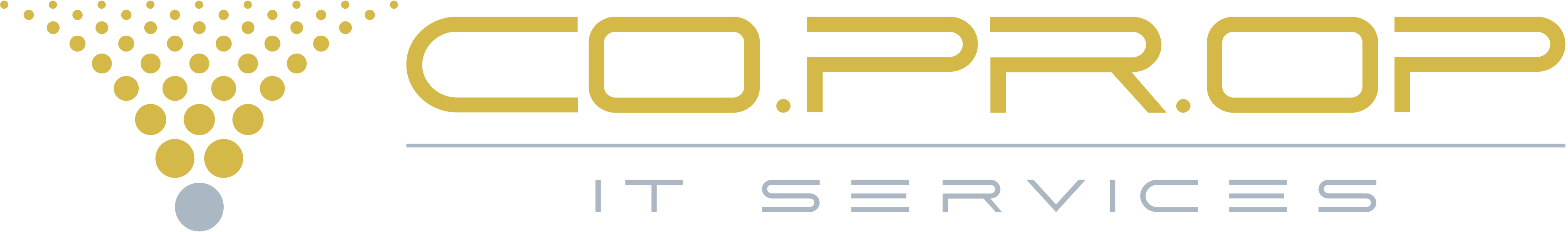 CoPrOp IT Services